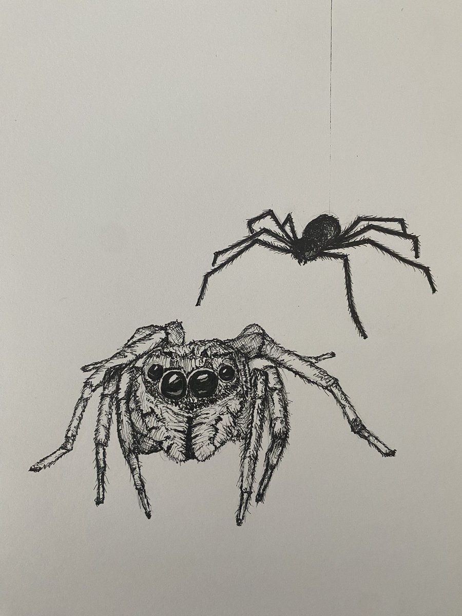 Manungus's tweet photo. Inktober 2023 - Day 2 - Spiders

A quick one today
@inktober #inktober2023 #inktober https://t.co/Wx14SZr0Pj