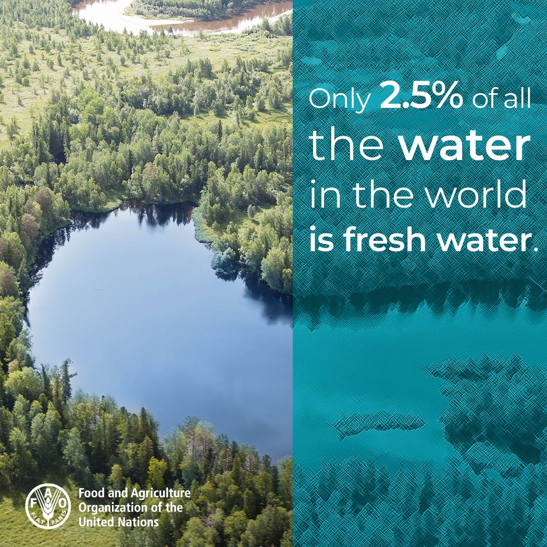 Every.
Drop.
Counts.

What are YOU doing to save water?