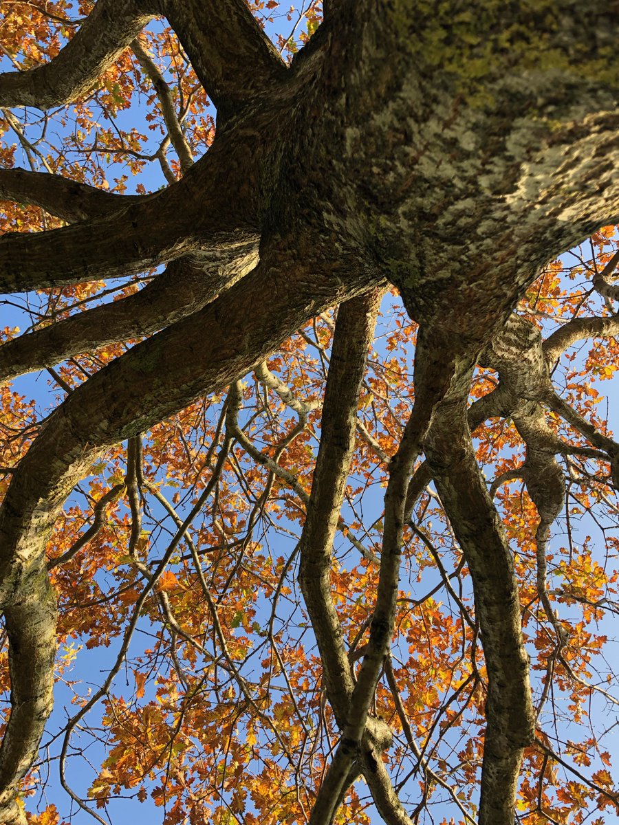 IT JUST GOT BETTER! Family Day - this Saturday!
2 local naturalists, Bob Cowley &amp; Linda Losito, will be leading guided walks. Identifying the presence of different animals by the Tracks &amp; Signs they leave behind hill-end.org/activities/upc…