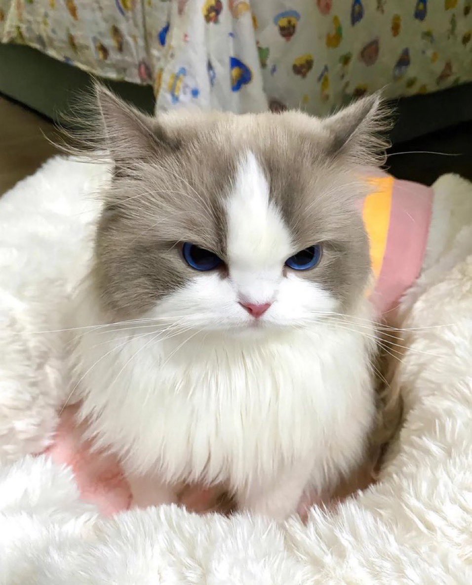 jxylor's tweet photo. เราว่าใช่ คนไหนว่าไม่ใช่ก้ช่างมึง https://t.co/NUNEzDSNtW