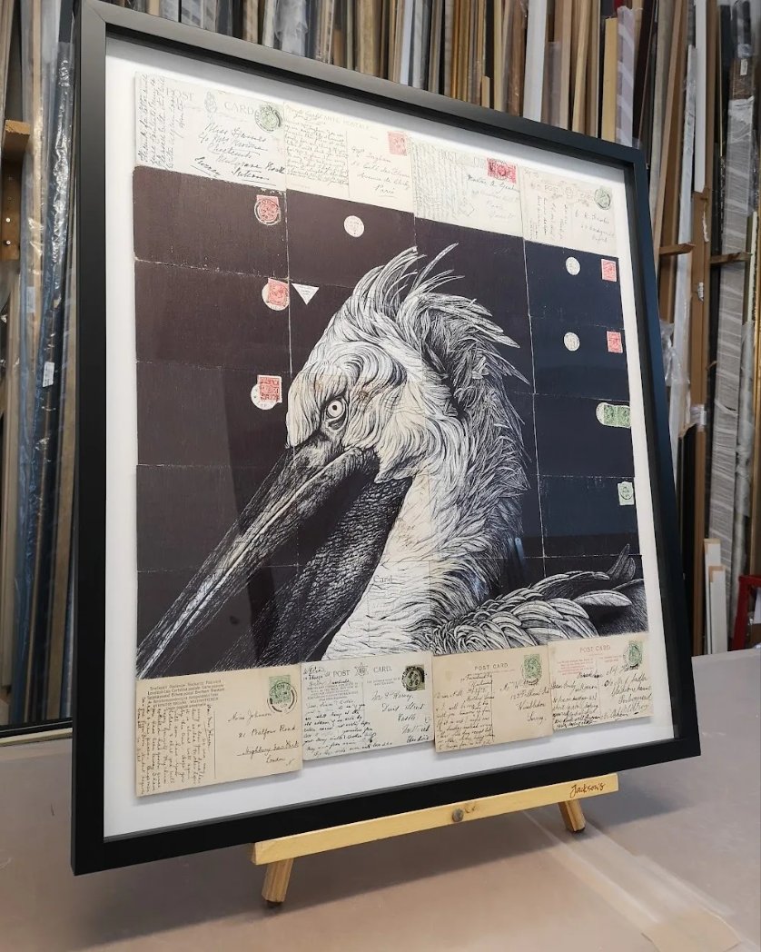 Mark Madonna tweet media