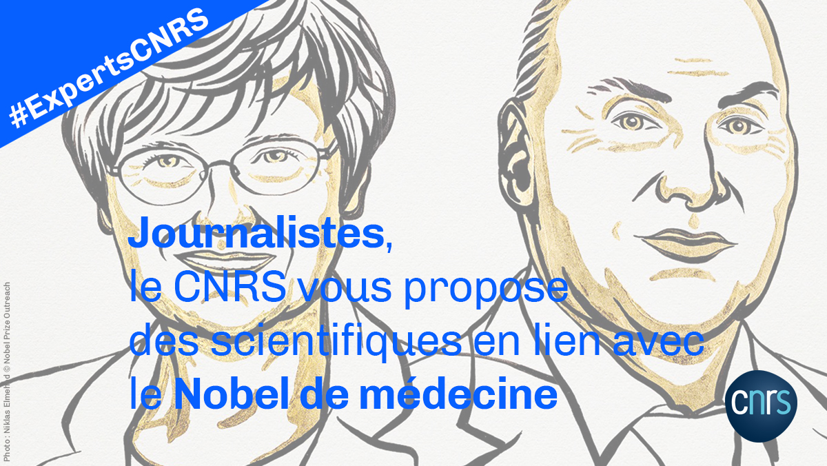CNRS 🌍 tweet media