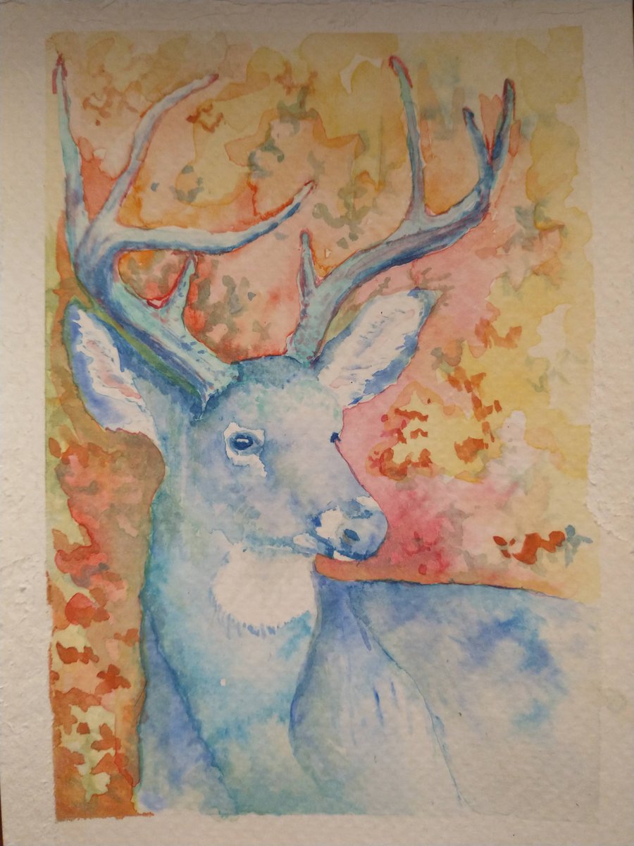 wolf4sb's tweet image. I'm back at Red Rooster Wednesday 10/4, 7:30-8:30am. Come by and let's talk School Board things. 

Did you know I paint? Do you also think a well-rounded education is important? I want to hear from you! 

#schoolboard #floydva #connect #officehours #publicservice @redroostercr