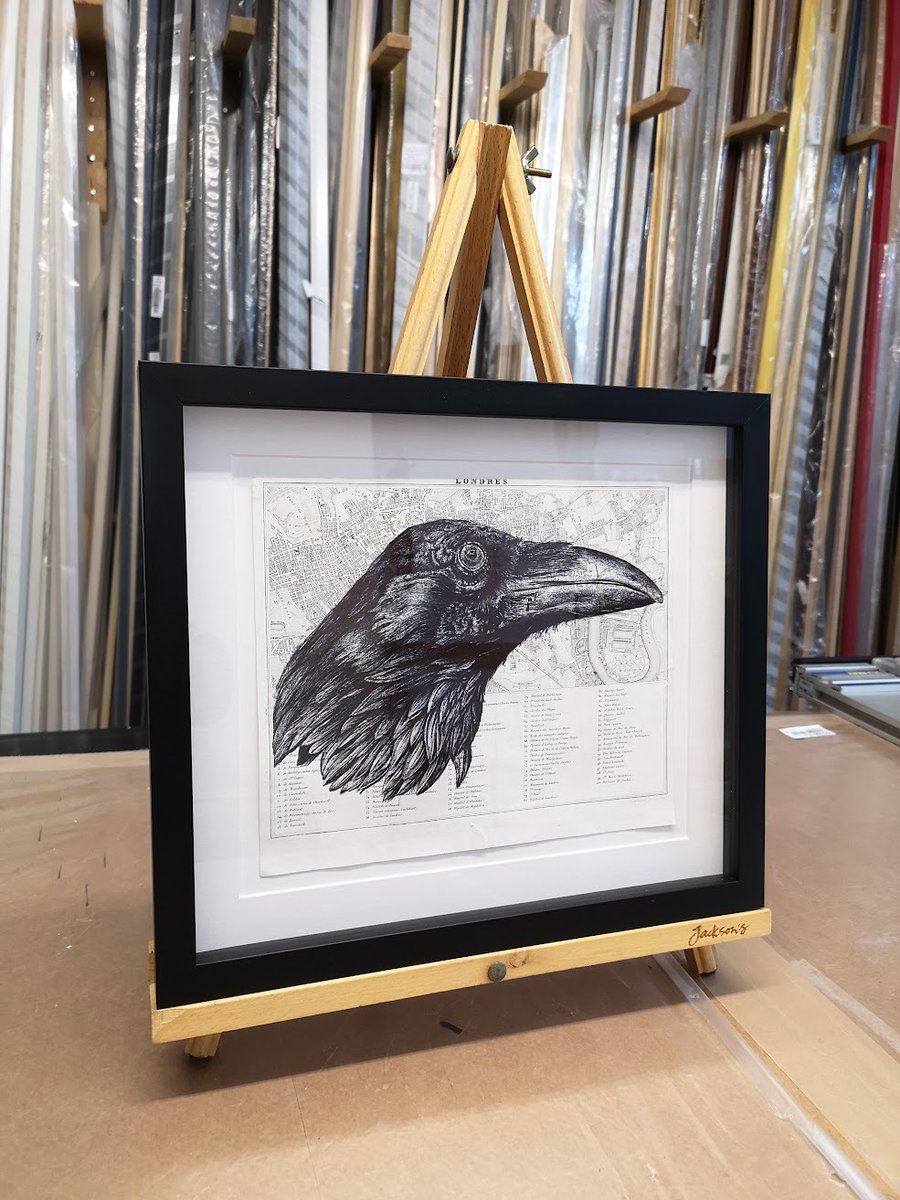 Mark Madonna tweet media