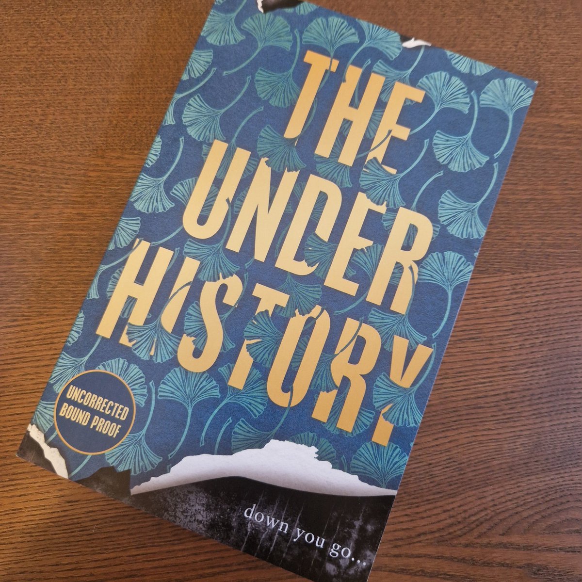 First off, #TheUnderHistory by #KaaronWarren - sinuous, slippery, and wrong foots you at every turn. I've never read anything like it. Another brilliant book coming soon from @ViperBooks