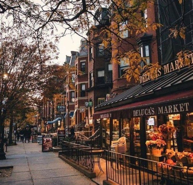 violettweets_'s tweet photo. fall in new york city. https://t.co/owJ9CDaU6i