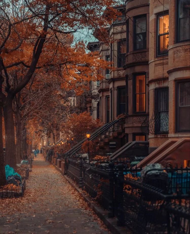 violettweets_'s tweet photo. fall in new york city. https://t.co/owJ9CDaU6i