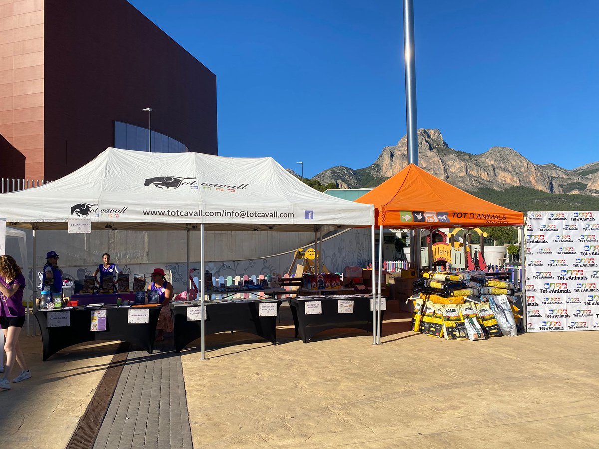 Totdanimals's tweet photo. Gran éxito de participación en la I Feria de adopciones de la Nucía.
Más de 2000 personas asistieron al evento. Muchas gracias y enhorabuena a todos !! https://t.co/XxDBBxRR3V