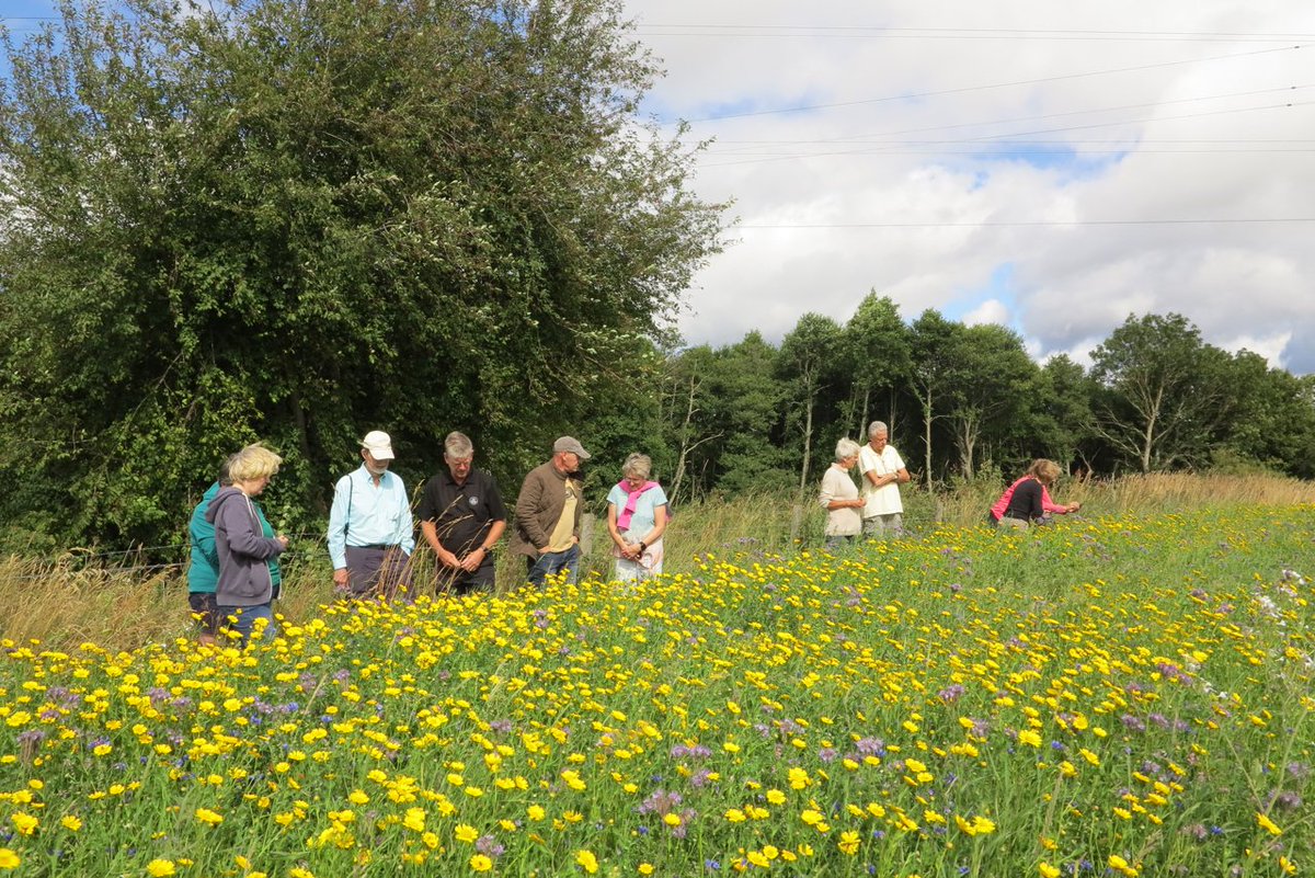 Create a Wildflower Meadow at Castle Roy, Nethybridge! Come along to this fun, landscape changing event on the 25th of October. We love planting events because in Spring the next year, you can truly see the difference you've made 👐cerv.is/0261x2344