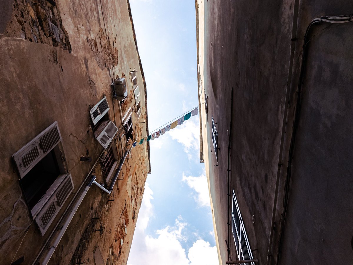 Dacorbus tweet media