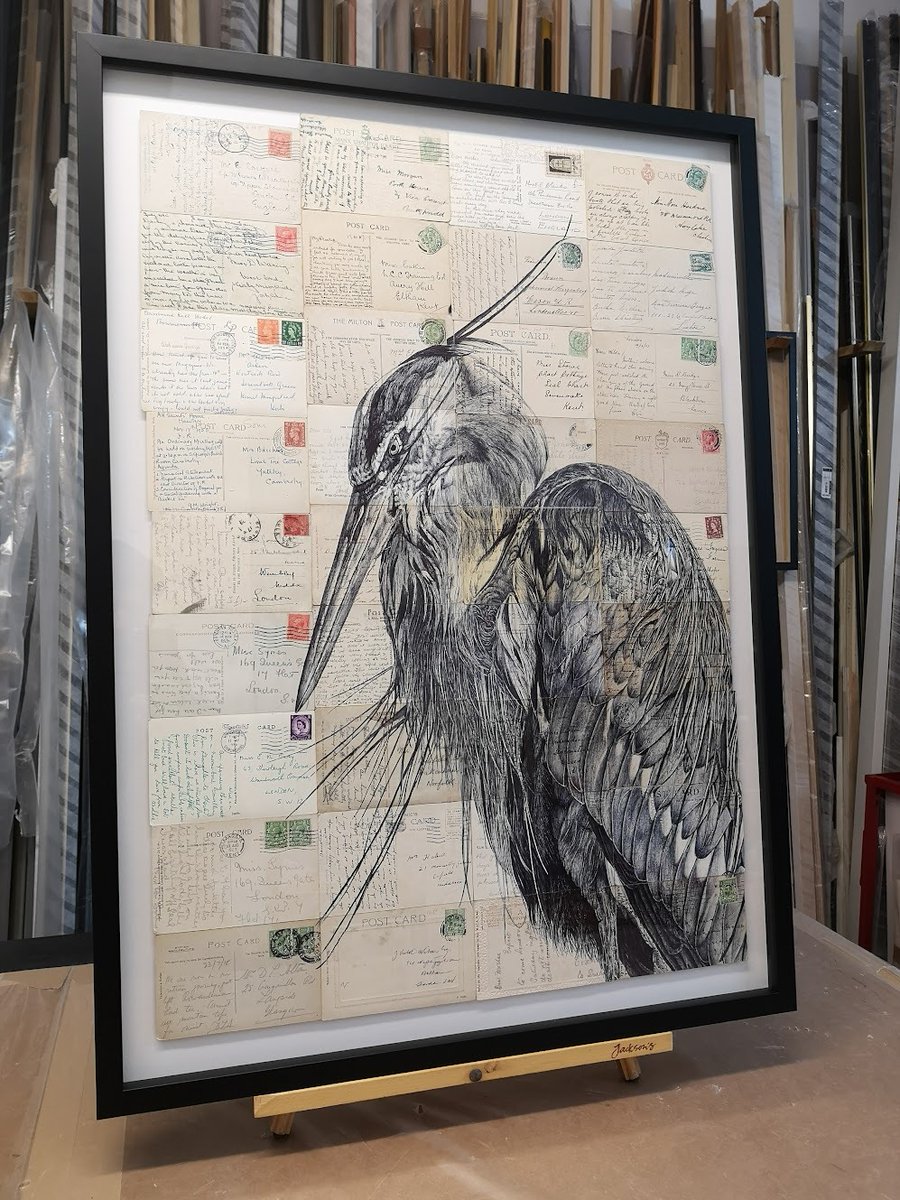 Mark Madonna tweet media