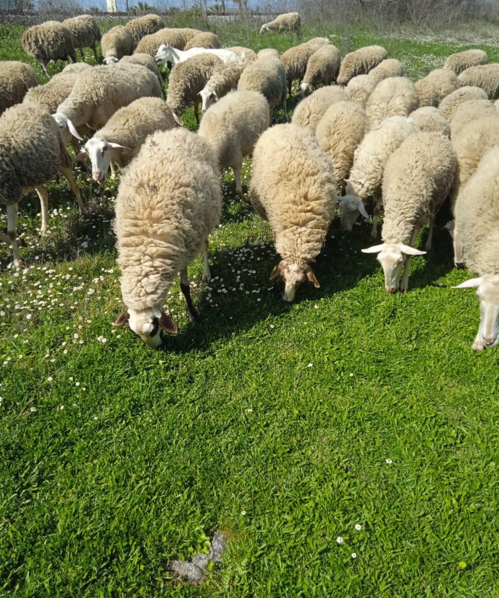 Υποψήφιοι προετοιμάζουν τις μηχανές
#Εκλογές