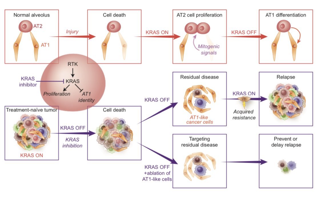 Tuomas Tammela tweet media