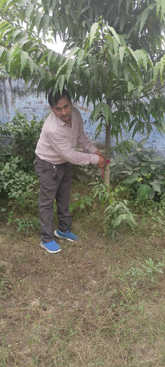 #प्रकृति_मित्र🌳
Name- RAJEEV KUMAR
Designation- ASSISTANT TEACHER
Address- PRIMARY SCHOOL THANGAON,KOTHAWAN,HARDOI
<a href="/shikshansamvad/">मिशन शिक्षण संवाद @shikshansamvad</a>
<a href="/RedTapeMovement/">Red Tape Movement 🌳</a> 
<a href="/teachersclubup/">teachers club</a> @ <a href="/myogiadityanath/">Yogi Adityanath</a>
<a href="/narendramodi/">Narendra Modi</a> #nature_friend
साभार- टीम प्रकृति मित्र मिशन शिक्षण संवाद