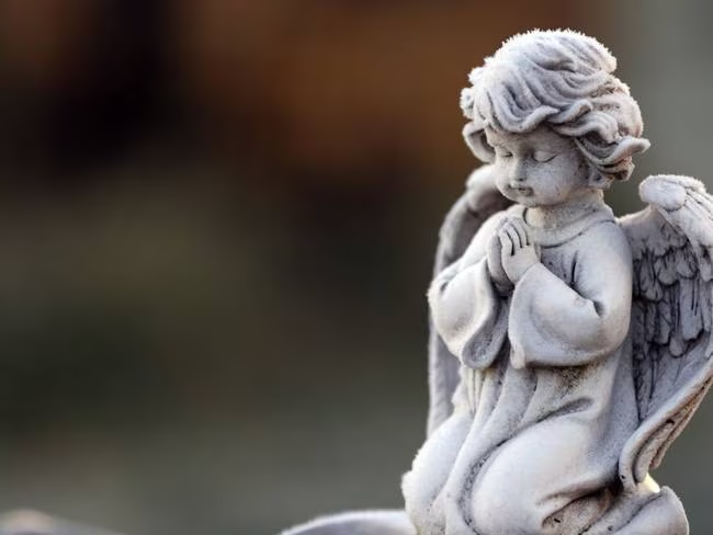 🙏 Oración al Ángel Custodio

Señor mío y Dios mío, gracias por obrar en mi vida a través de mi Ángel de la Guarda, ese ser celestial que pusiste a cargo de mi cuidado. Haz que, por medio de él, pueda recibir tus inspiraciones, que lo invoque en todo momento de dificultad, miedo