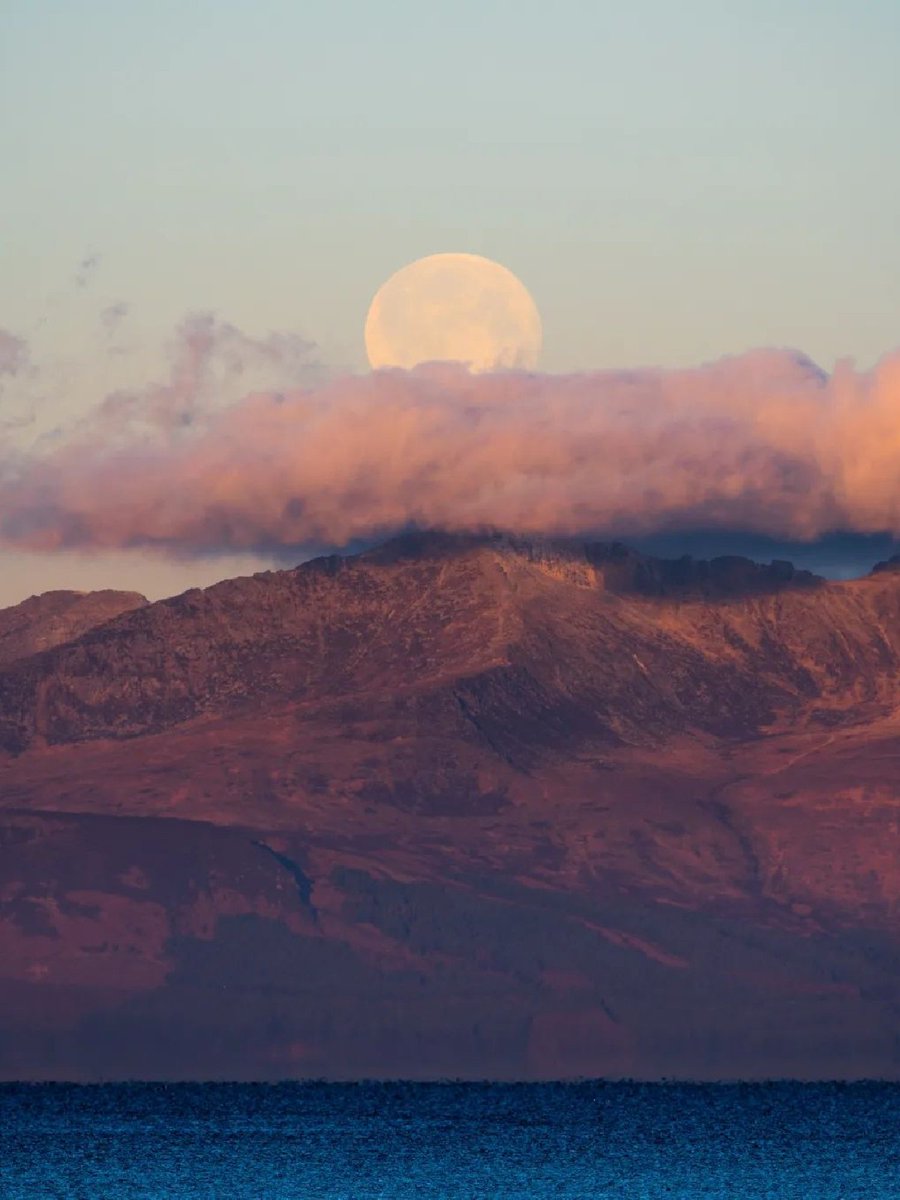National Trust for Scotland tweet media