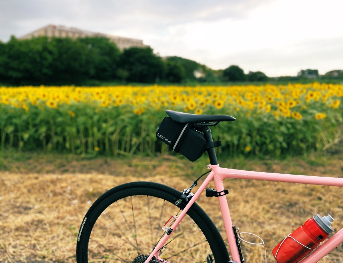 kaji_phone's tweet photo. ひまわり🌻+じてんしゃ🚲
ひまわりがまだまだ咲いてる!
#ひまわり畑
#サイクリング #ロードバイク #クロモリ #myアンカー #ボレー #オージーケーカブト #埼玉
#cycling #roadbike #RNC7 #bridgestoneanchor #anchorbikes #bolle #ogkkabuto #saitama https://t.co/vdvAwjRvTD