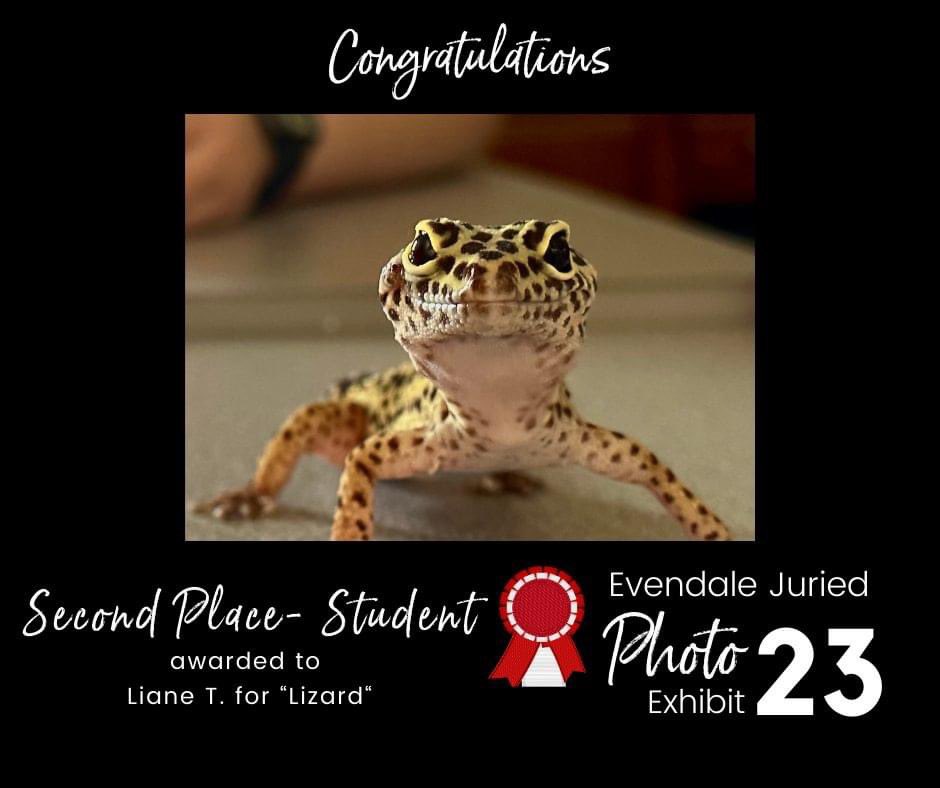 Excited to announce these student winners from <a href="/Lakota_Central/">@Lakota_Central</a> in the Evendale Juried Photography Exhibit!