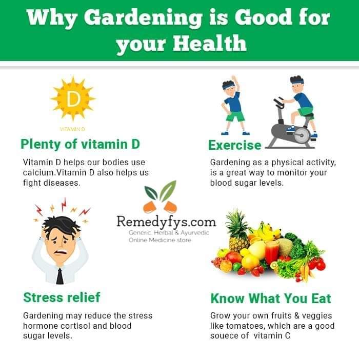 Why gardening is good for your health?

#remedyfys #gardeningtips #gardening  #gardeninglifestyle #gardeninghealth  #healthylifestyle #healthbenefits #stayfit  #healthylivingtips #healthylifestyle #healthiswealth #healthtips  #healthtipsoftheday 
remedyfys.com