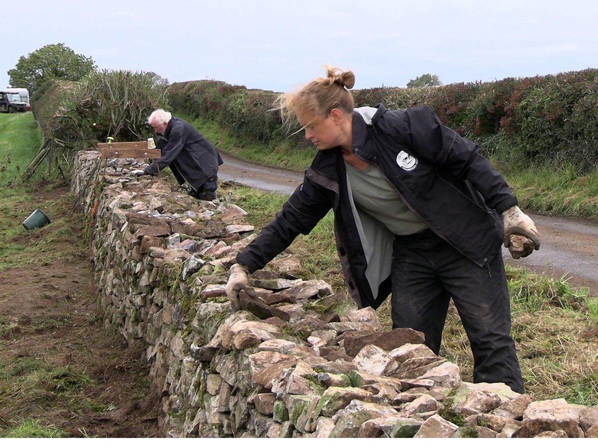 Congratulations Penny, John & Julian: our volunteers took the top three in the Dry Stone Walling competition at the Mendip Ploughing Match.
mendiphillsaonb.org.uk/2023/10/02/aon…

#lovethemendips