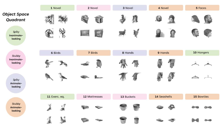 Icelandic Vision Lab tweet media