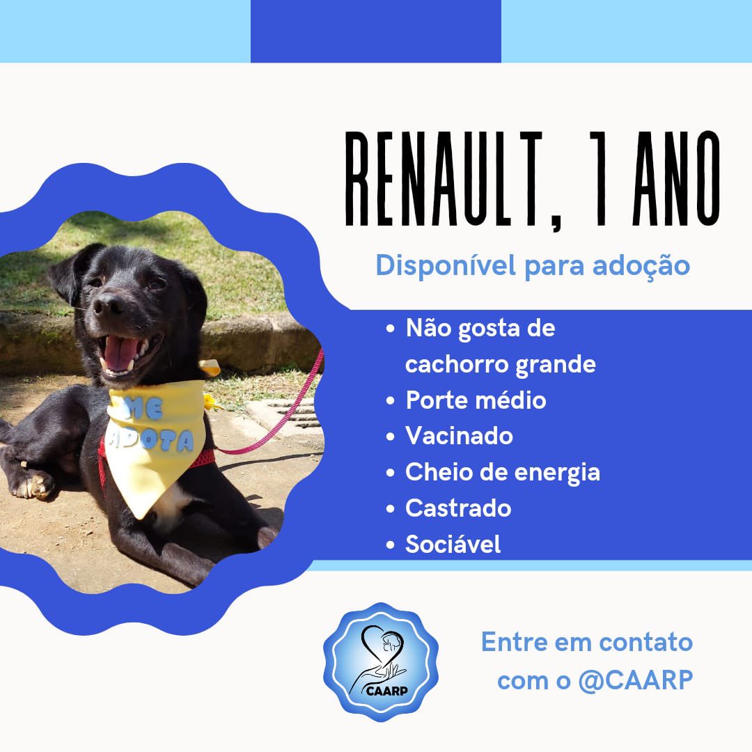 CAARP tweet media