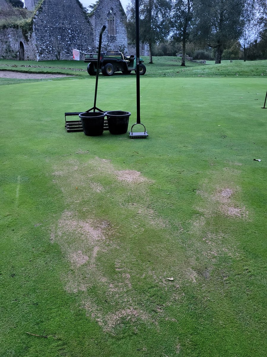 Couldn't upload my video for some reason showing how we patch up disease scars but here's a few pics of what I done this morning on 17 th green , using the bms static seed slotter made little holes on the scars or patches , then put on seed then a bit of sand on top levelled off