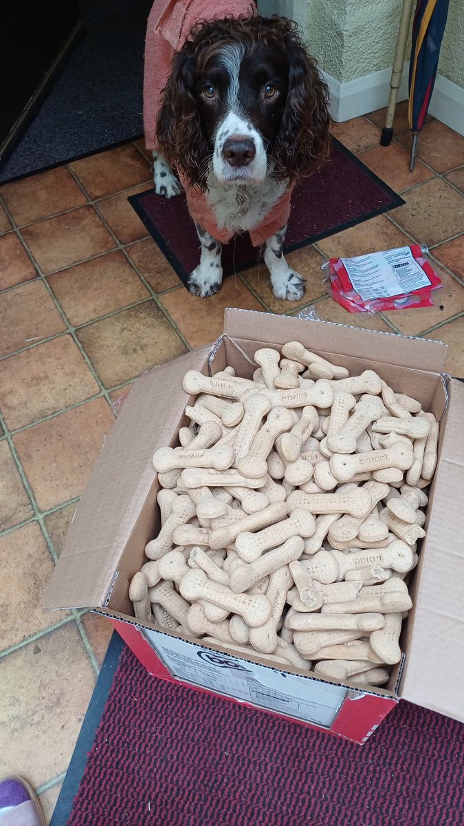 Bestestgundog's tweet photo. Redvan man brung this. I wos very happy. 😀
Mum not so.😬
I done offer to help😃
She said NO☹️
#meanhuman https://t.co/lqXgvkpQ1o
