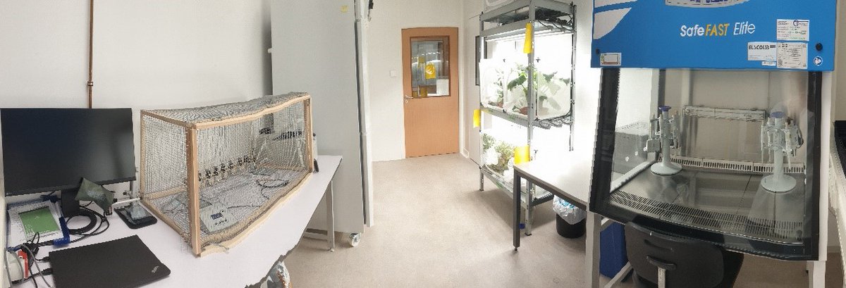 virtigation's tweet image. THREAD: In the 2nd edition of the #VIRTIGATION #BehindTheScenes series, our partner @LIST_Luxembourg guides us through their state-of-the-art #quarantine #laboratory for #plant #pathogens and #insect #pests, and how it is used in VIRTIGATION: