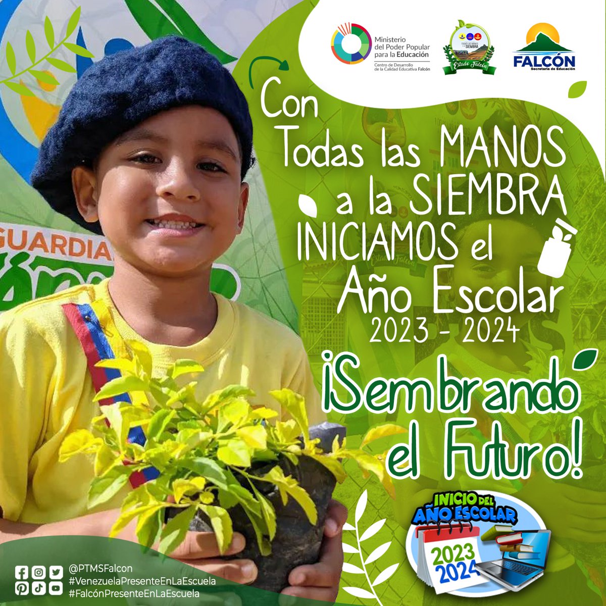 🇻🇪🌽🌱PTMS FALCÓN 🌱🌽🇻🇪 tweet media