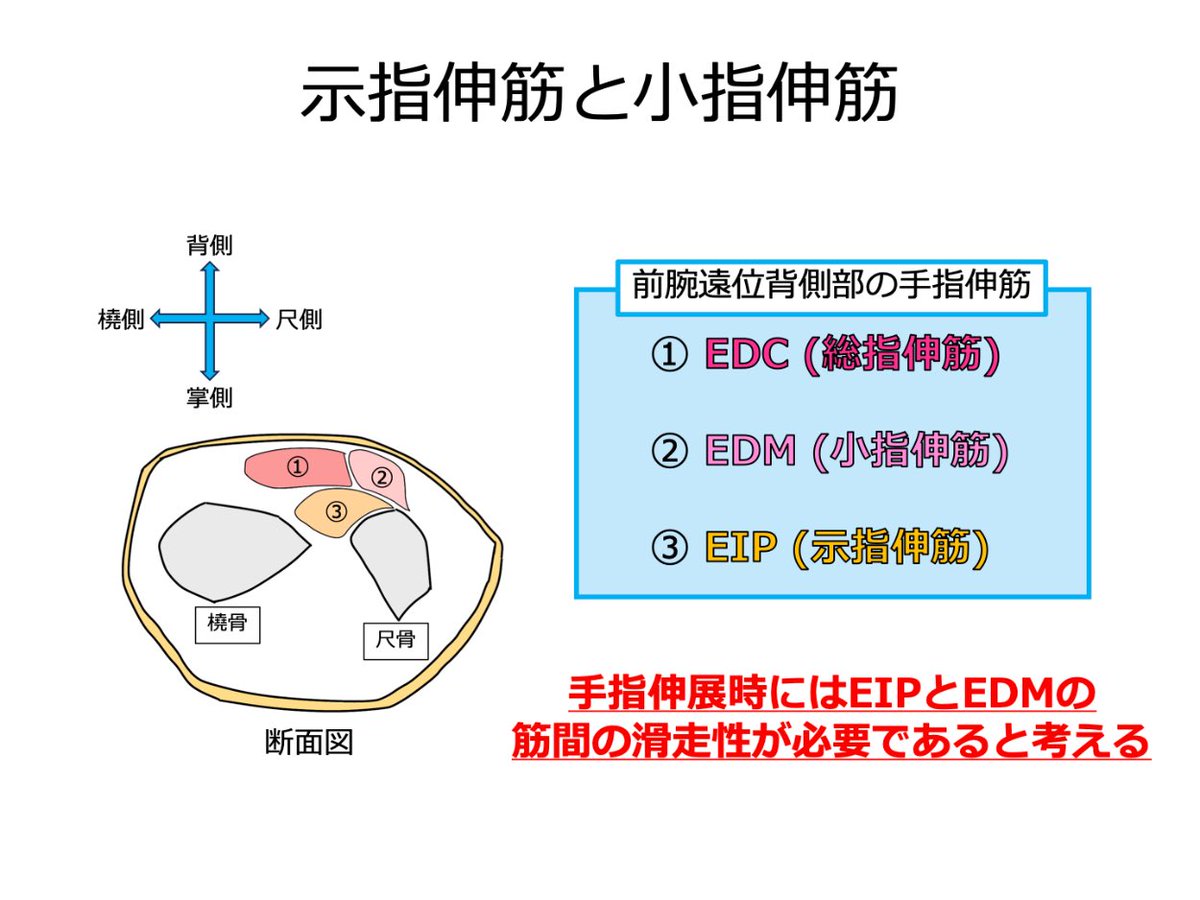 松本直樹 日常使い】Milk Souko The Coconuts 松本直樹｜Naoki Matsumoto