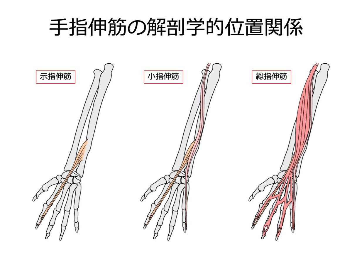 松本直樹　とちおとめ40ポット 松本直樹 日常使い】Milk Souko The Coconuts 松本直樹｜Naoki Matsumoto