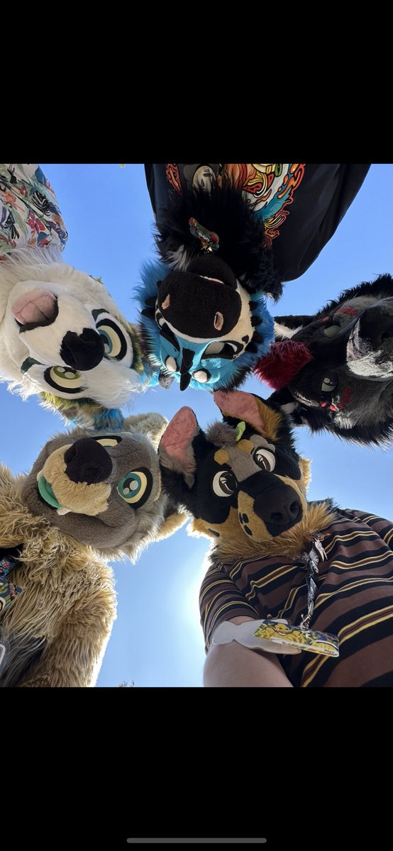 Had the time of my life at furjam this year and thank you so much <a href="/snarlykit/">snarlykit</a> for letting me steal cricket for the weekend 

📸: no idea who took the photos , can someone let me know please