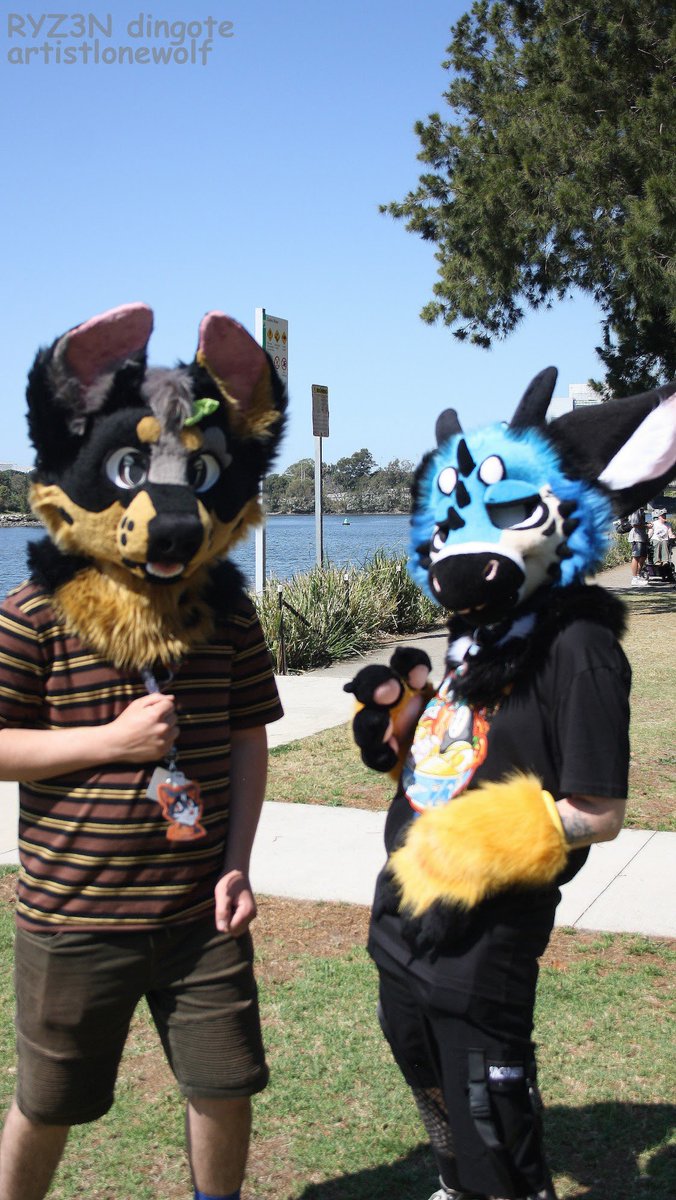 Slyy_racc's tweet photo. Had the time of my life at furjam this year and thank you so much @snarlykit for letting me steal cricket for the weekend 

📸: no idea who took the photos , can someone let me know please https://t.co/sawocZcApH