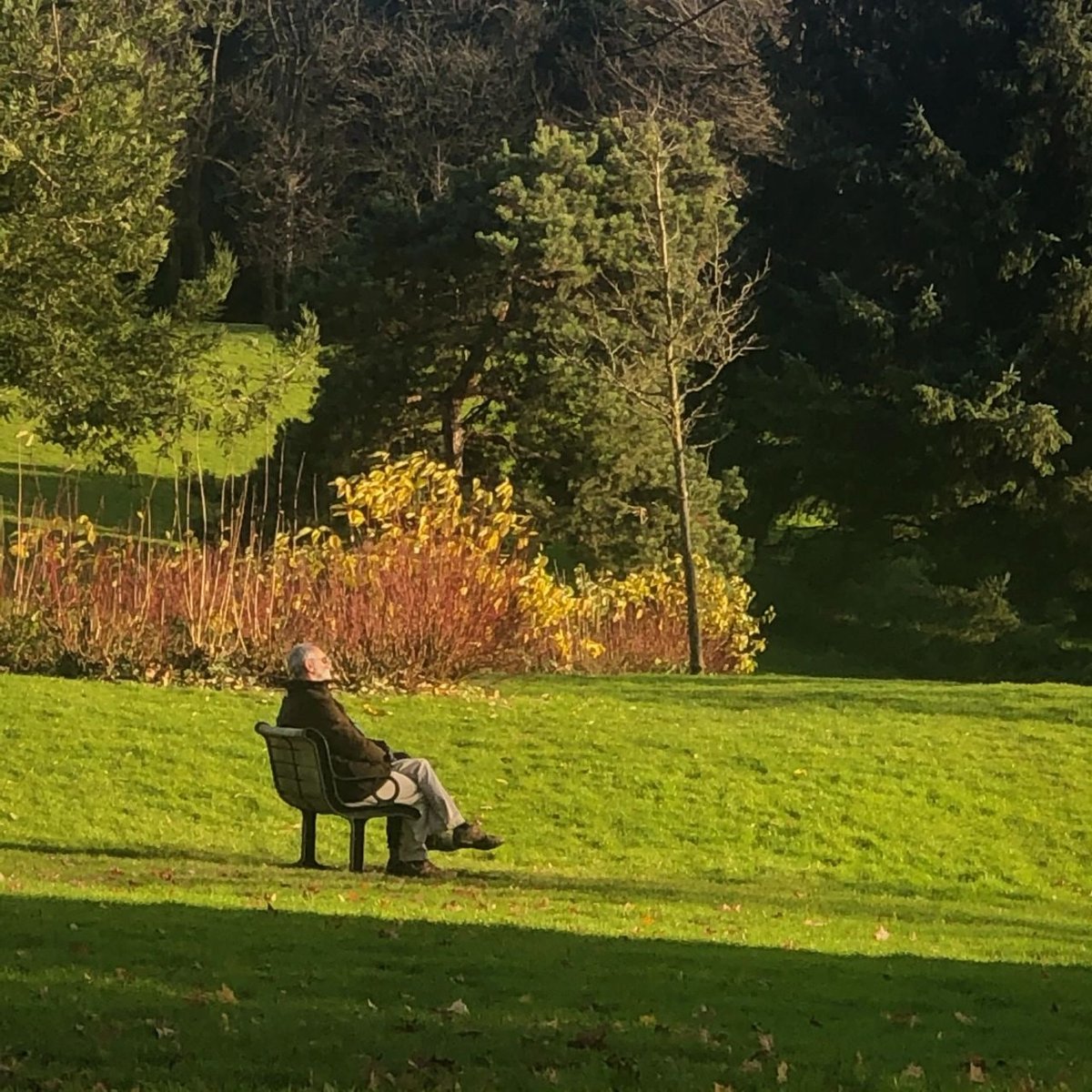 Image_Clan's tweet image. Finally ,a morning hiking under a cleat bule sky,I love the touch of the sun,the embrace of the nature,and the pulse of lifed🌄🪴
