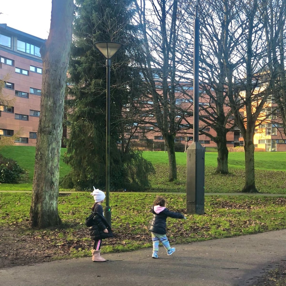 Image_Clan's tweet image. Finally ,a morning hiking under a cleat bule sky,I love the touch of the sun,the embrace of the nature,and the pulse of lifed🌄🪴