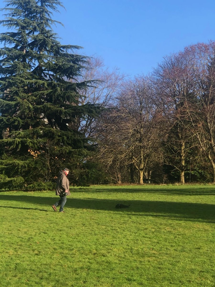 Image_Clan's tweet image. Finally ,a morning hiking under a cleat bule sky,I love the touch of the sun,the embrace of the nature,and the pulse of lifed🌄🪴