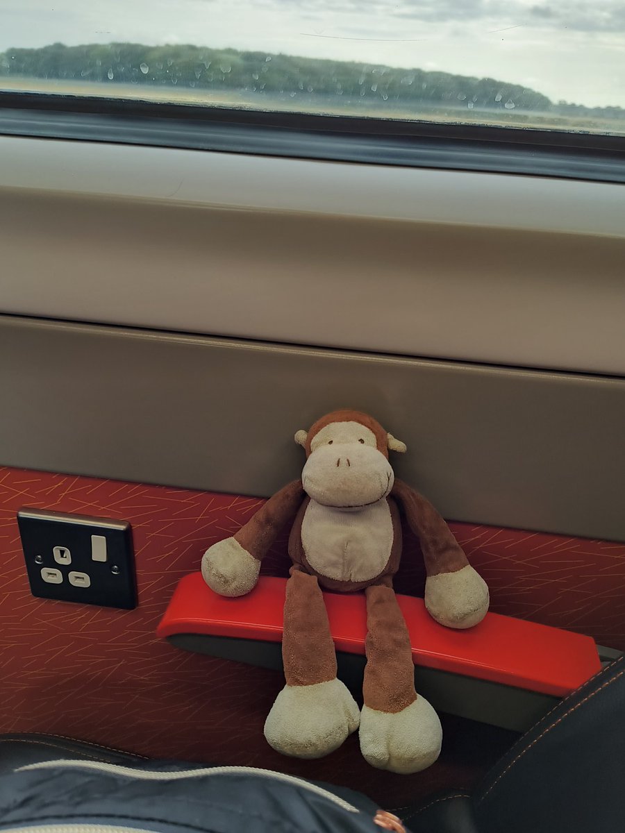 babymonk13's tweet photo. pals! we had the #besttimeever in york! we walked on castle walls, saw trains at the @RailwayMuseum, & i ate a whole #knickerbockerglory at #magpiecafe by myself! now we're on the @LNER @GC_Rail train back to #london! i'm going to look for sheep & cows & horses out the window! https://t.co/kvkLzWZEbx