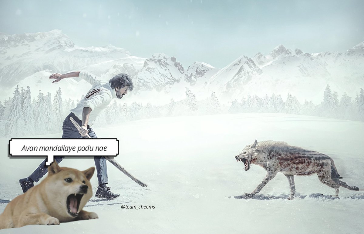 team_cheems's tweet photo. Doge stand with Thalapathy 🧊🔥 https://t.co/DuK3CsxHJN