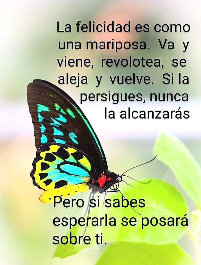 jordaninavarro tweet picture