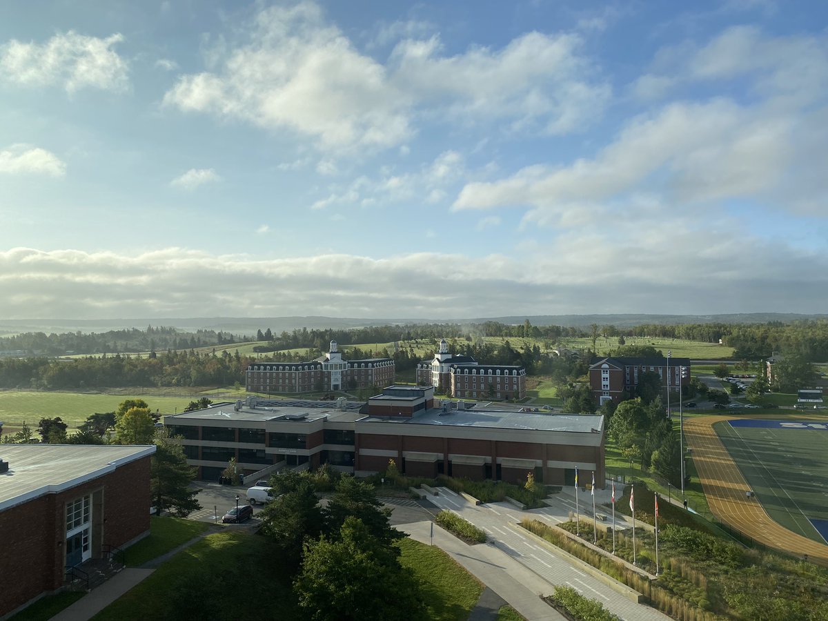 Amanda Cockshutt tweet media