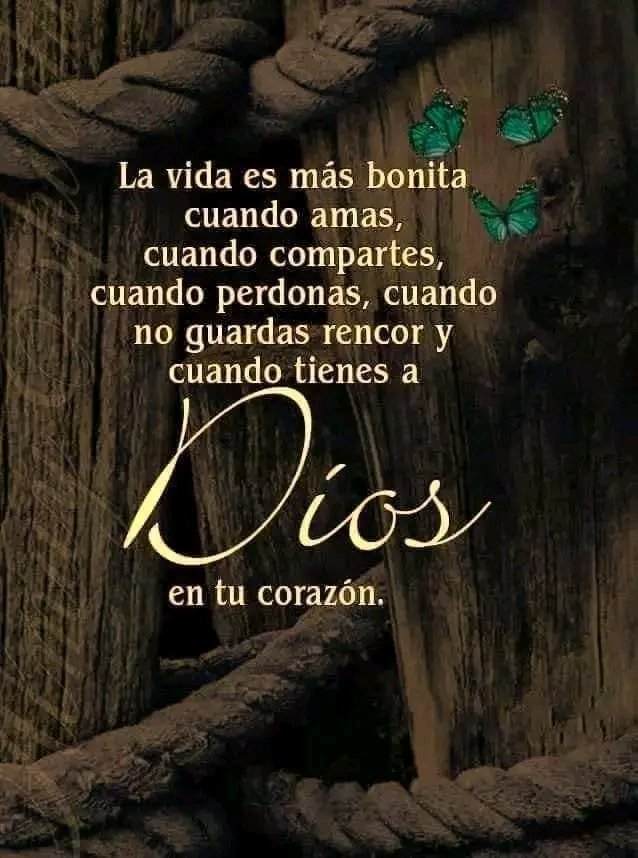 Reina Querales tweet media
