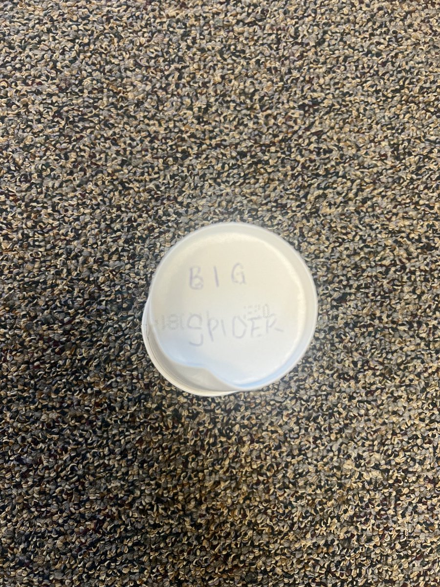 SCFRDPIO's tweet image. Big Spider Cup makes its return