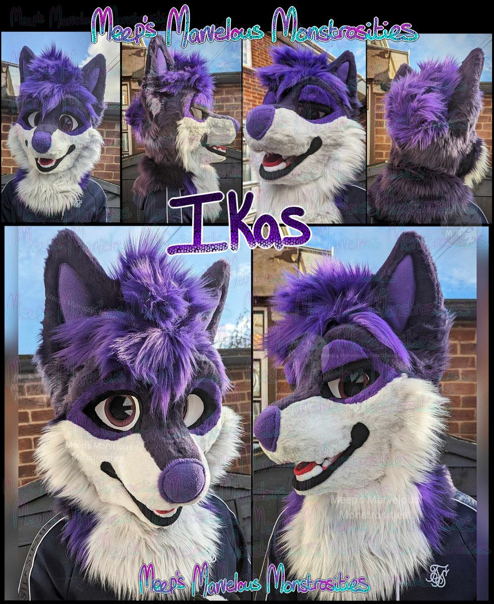 Here's Ikas' completed fursuit head! 💜🐺

#fursuitmaker #furrycommunity