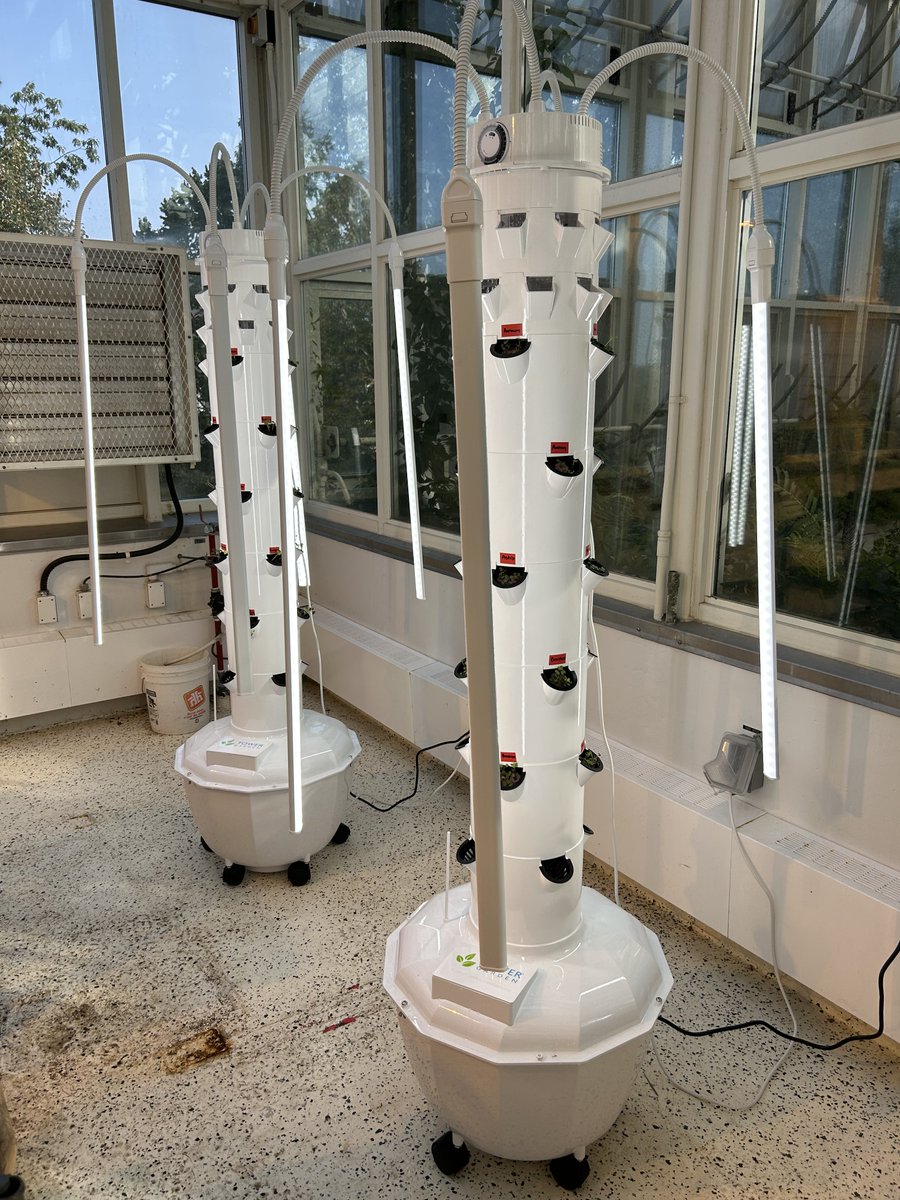 K.C. Irving Centre (@irvingcentre) on Twitter photo Garden tower trials for Urban Lighthouse Farm are underway to test new 3D printed baskets that will fit into their facility's hydroponic system. We are growing tasty leafy greens - arugula, basil, and spring mix!
Thank you <a href="/InvestNS_/">Invest Nova Scotia</a> for providing the PnI Voucher funding. Garden tower trials for Urban Lighthouse Farm are underway to test new 3D printed baskets that will fit into their facility's hydroponic system. We are growing tasty leafy greens - arugula, basil, and spring mix!
Thank you <a href="/InvestNS_/">Invest Nova Scotia</a> for providing the PnI Voucher funding.