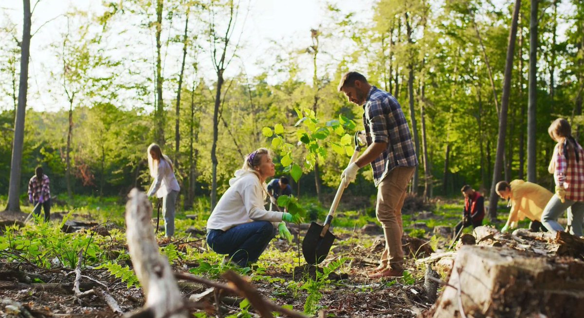 📢Don't miss our next jointly-organised webinar with @SUPERB_project A “Seal of Approval” for Forest Restoration – The SER Mediterranean Project and Views from Practitioners, next 11.10 at 16 CEST. Register here 👉bit.ly/459OUNn