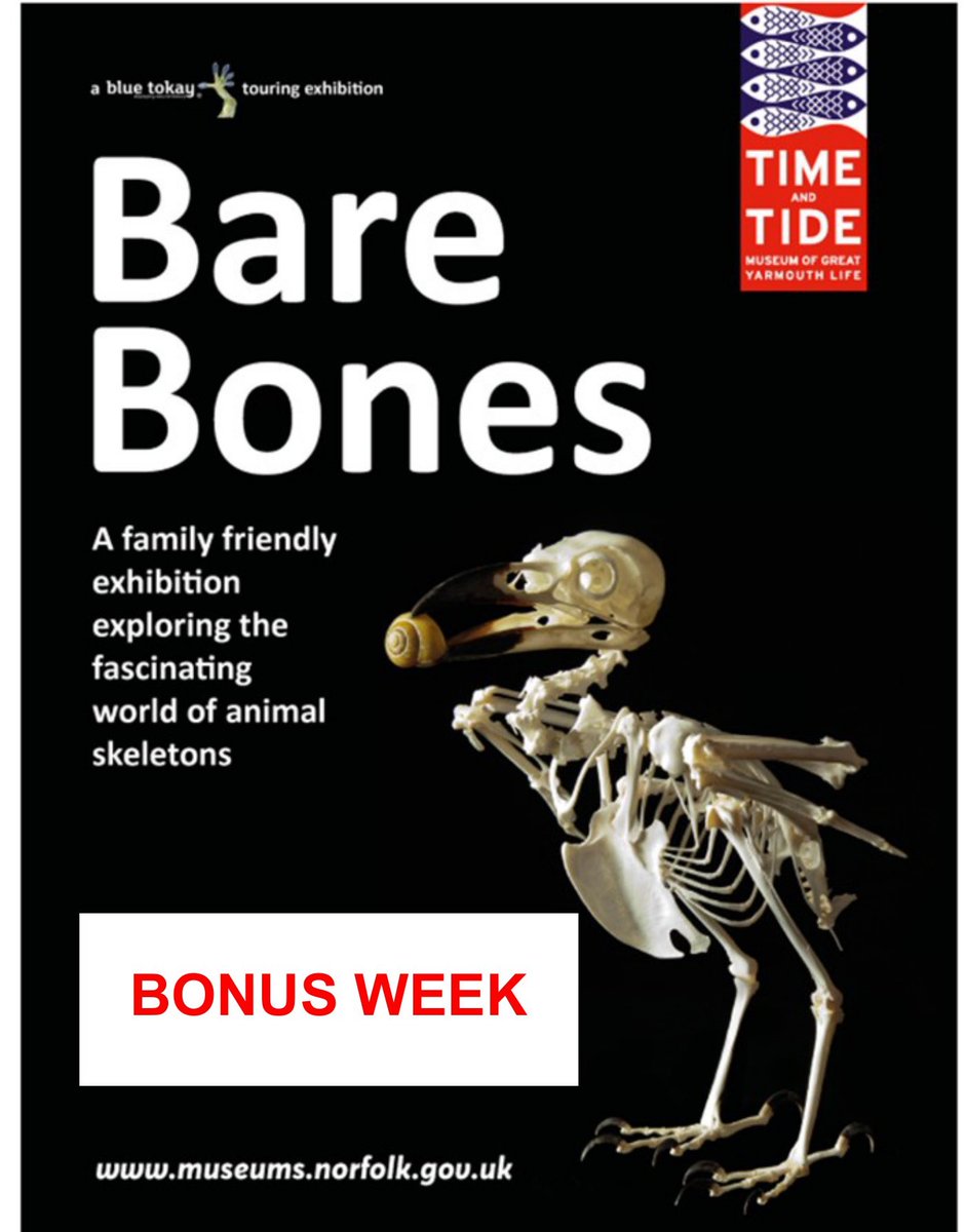 Due to a change in our schedule - our current exhibition 'Bare Bones' from @BlueTokay  is still open & will now close on Sun 8 Oct
@timetidemuseum is open 10am-4.30pm daily
Silver Darlings Cafe with @GyrosOrg open 11am-3pm
Don't miss your last chance to see this fab exhibition!