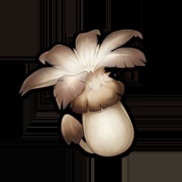 feurigeist's tweet photo. @lilsomechen @TenhaTV these fukers, plus any other plant you can't grow in the teapot https://t.co/lPC0SOMjoi