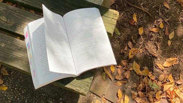 moodyonmoon's tweet photo. 📖🍂🦢🐈 https://t.co/ARD5dWPgth