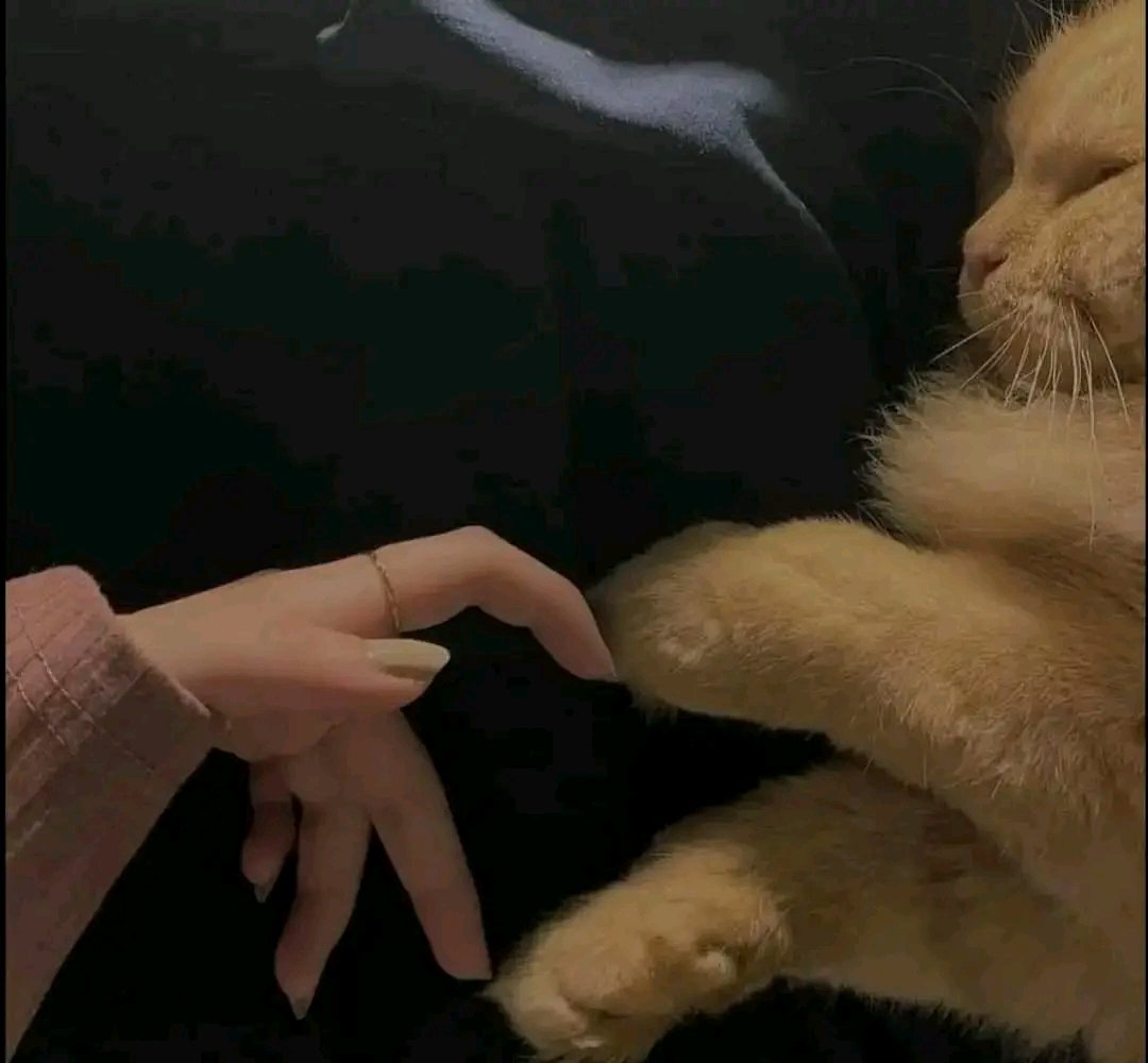 All women are besties with their cats.🤎